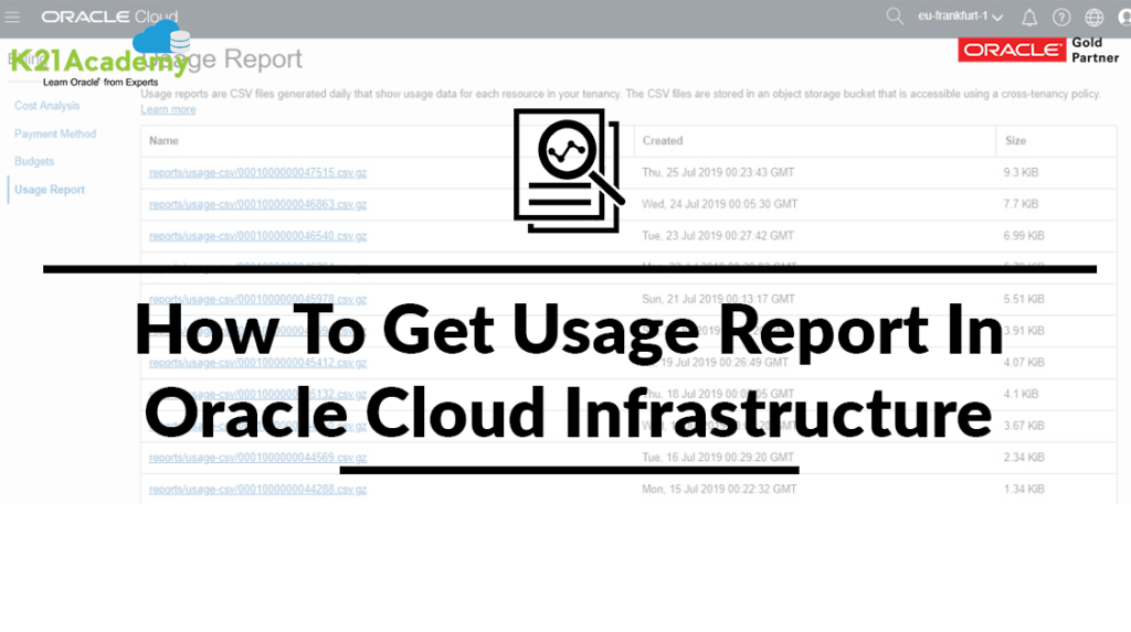 Get The Usage Report In Oracle Cloud Infrastructure
