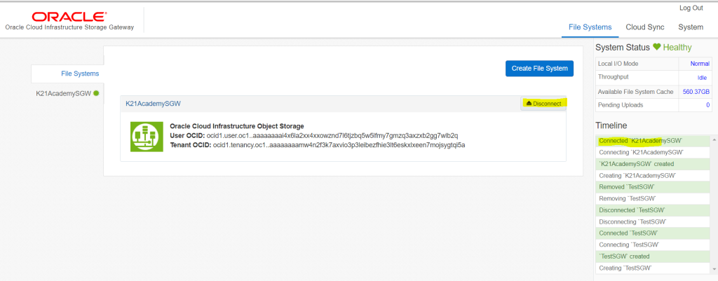 Oracle Cloud Shared File System Storage Gateway In Oracle Cloud Infrastructure (OCI)
