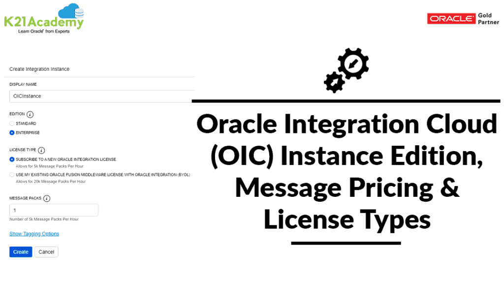 Oracle Integration Instance
