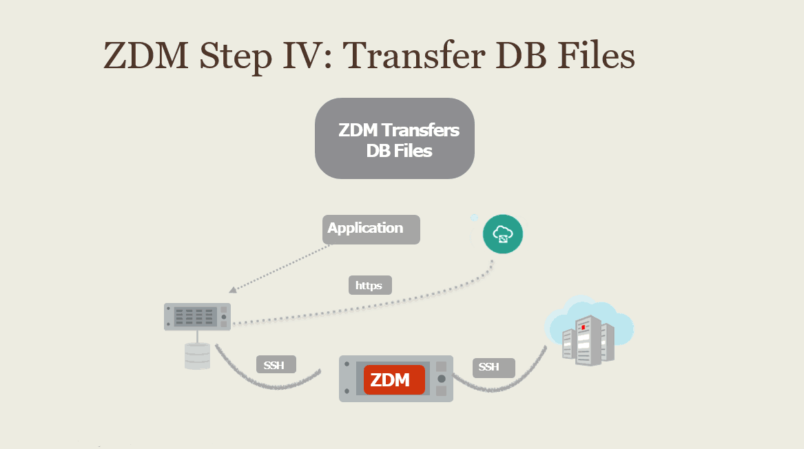 Transfer DB Files