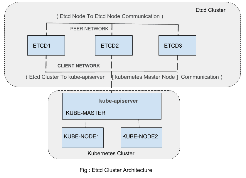 etcd cluster architecture Certified Kubernetes Security Specialist