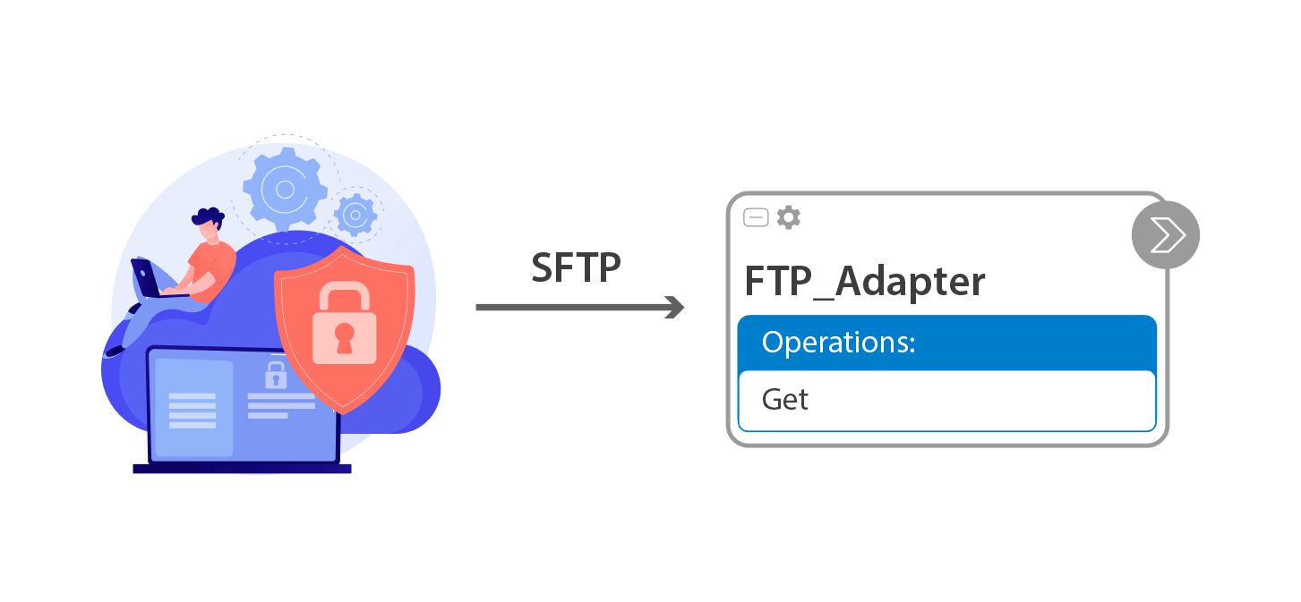  FTP Adapter