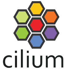 Cilium Docker Container Image Security
