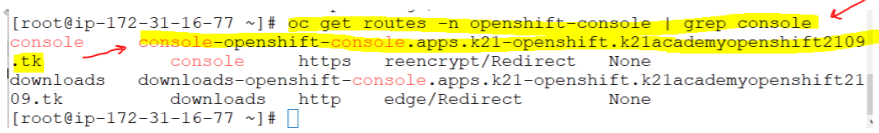 List the OpenShift Container Platform web console route: