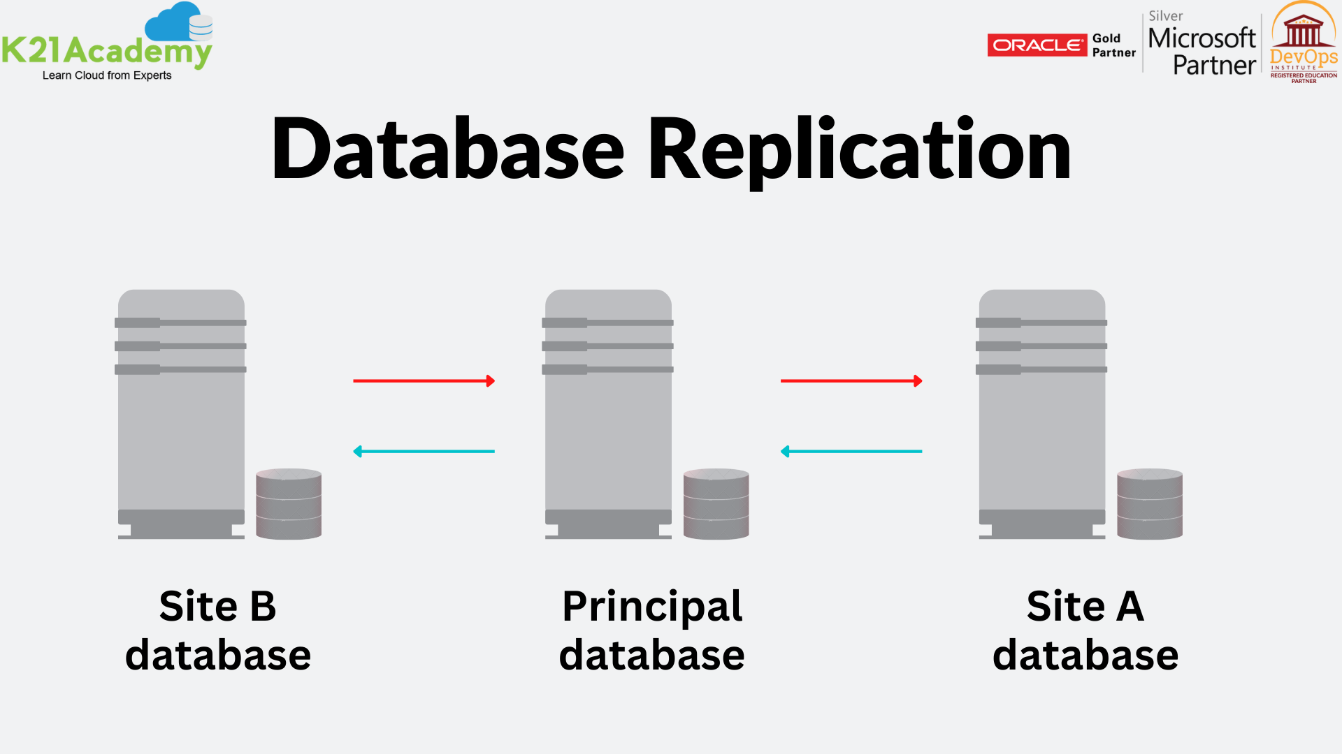 Database replication process