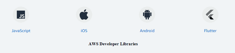 AWS Developer libraries